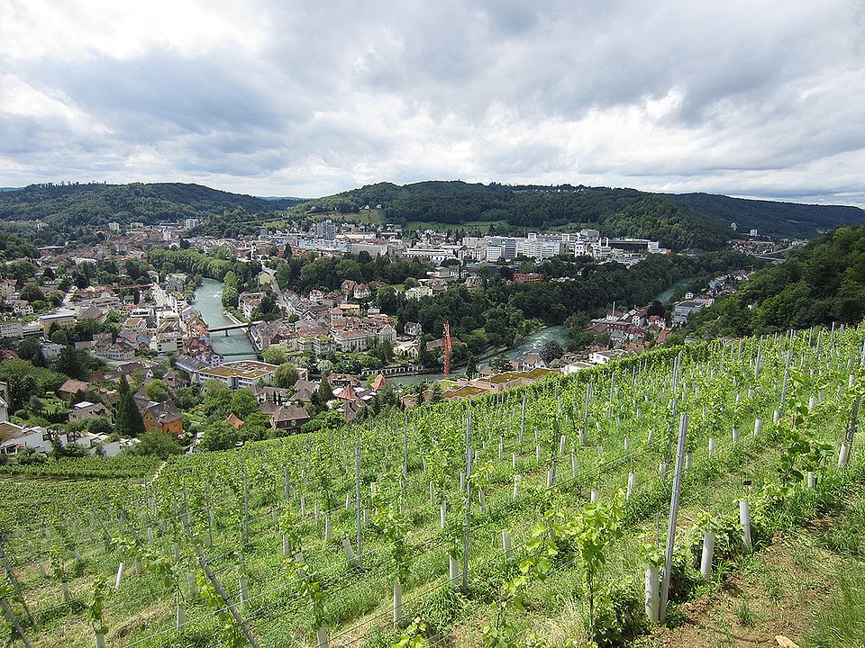 Weinberg in Ennetbaden/Goldwand