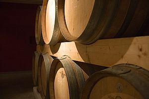 Barriquekeller Baumgartner Werinbau Tegerfelden