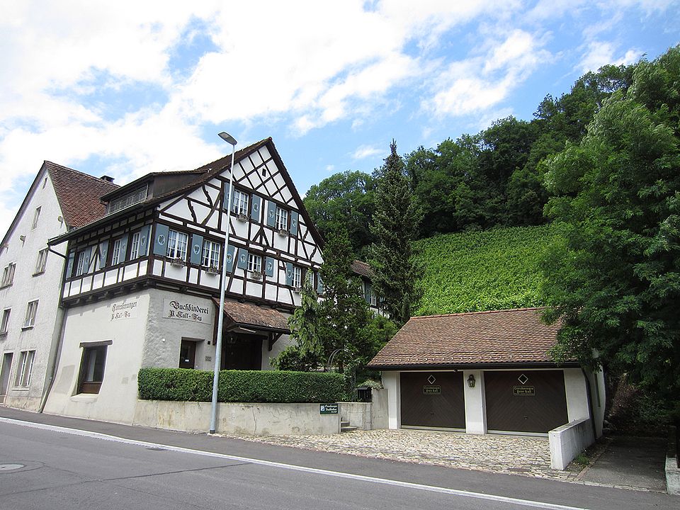 Rebhang Ennetbaden Goldwand